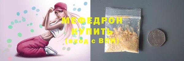 индика Аркадак