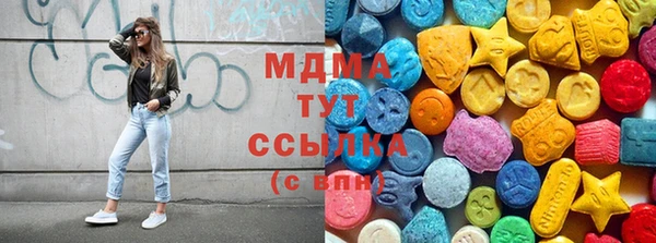 индика Аркадак