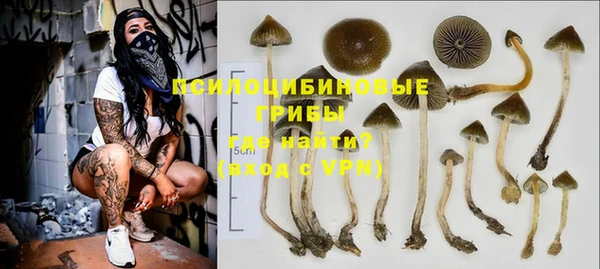 МДПВ Арсеньев