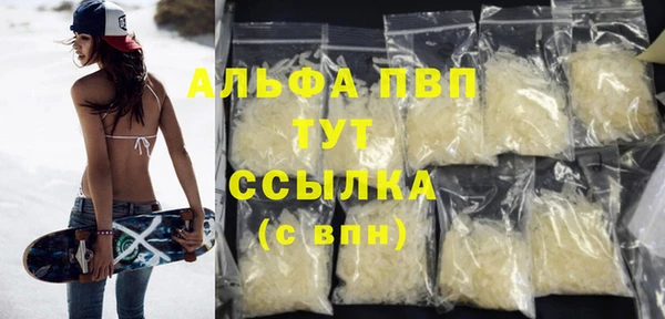 индика Аркадак