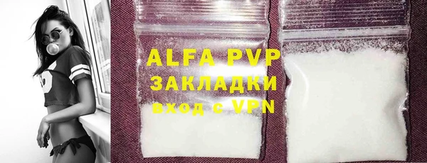 индика Аркадак