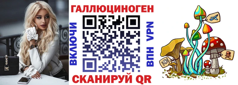 Купить  Белёв  Галлюциногенные грибы Psilocybine cubensis 